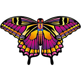 Chiringa Mariposa Multicolor Gigante