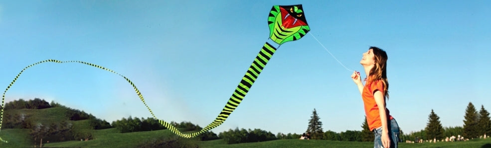 Culebra la serpiente más larga que vuela