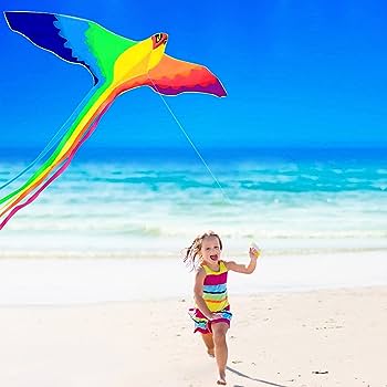 Rainbow bird kites with handle line flying toy airplane eagle kite ripstop nylon fabric weifang kite factory