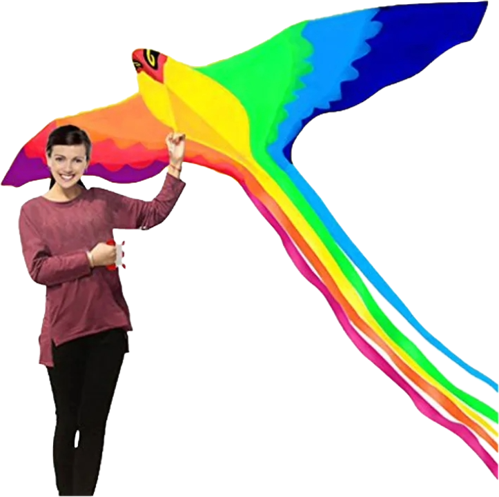 Rainbow bird kites with handle line flying toy airplane eagle kite ripstop nylon fabric weifang kite factory