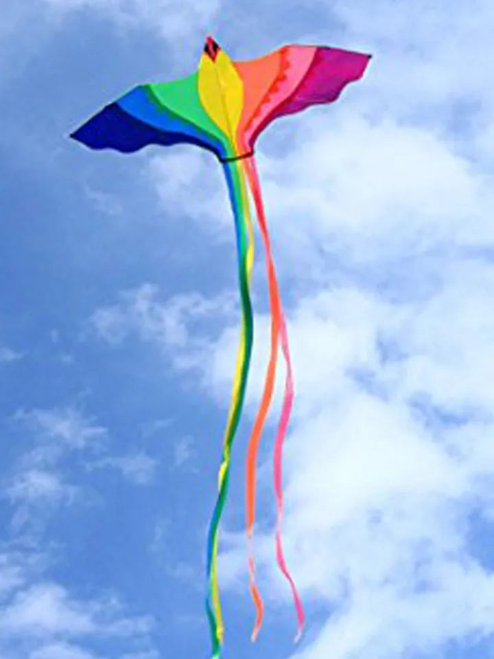 Rainbow bird kites with handle line flying toy airplane eagle kite ripstop nylon fabric weifang kite factory