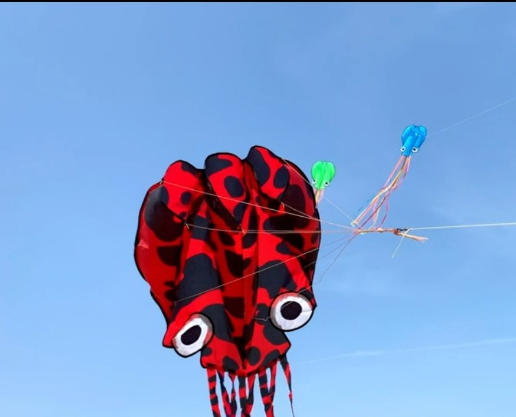 Pulpo Volador Gigante con Manchas