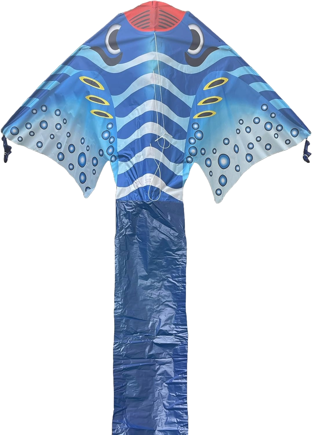 Mantarraya Playera Azul