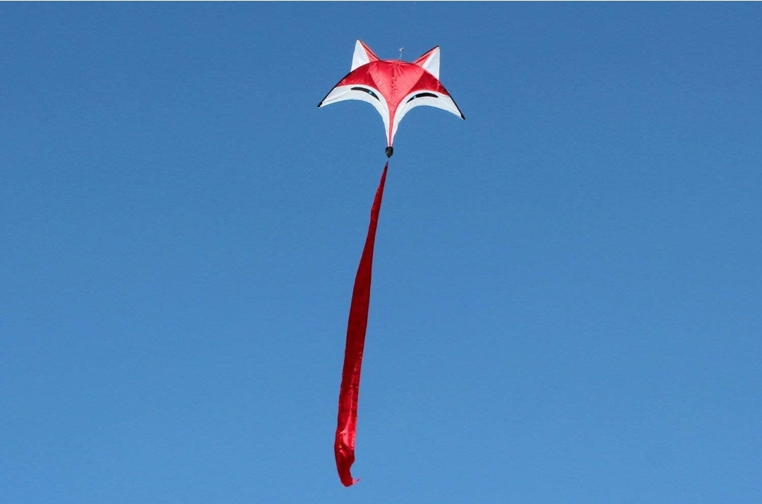 Zorrito Volador