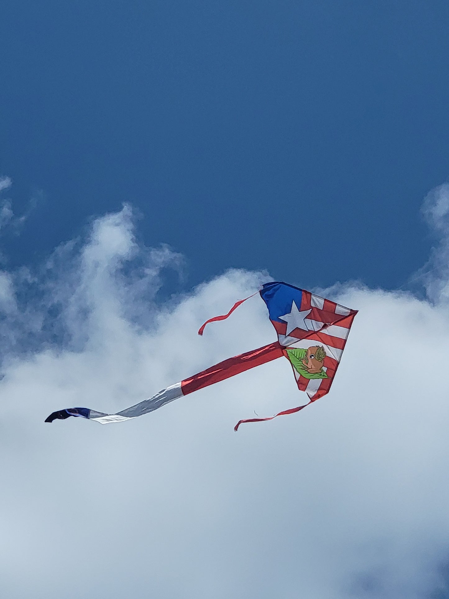 Chiringa Jibarito es el Coqui : Monoestrellada es la bandera