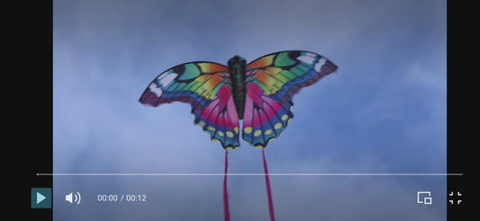 Chiringa Mariposa Multicolor Gigante X-kite